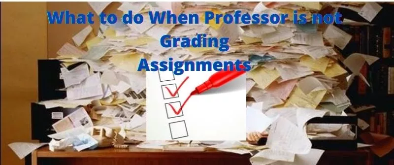 professor not grading assignments
