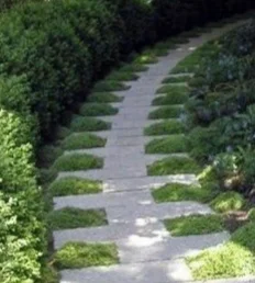 a well designed path