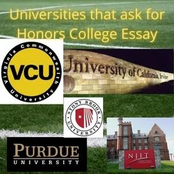 Colleges for Honors Essay