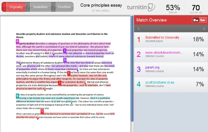 Turnitin originality report