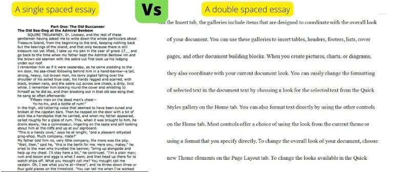 essay format double spaced