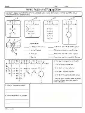 Biology homework worksheet