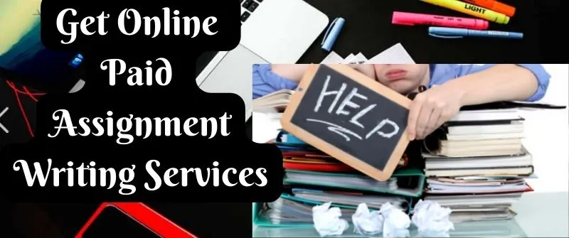 Get Online Paid Writing Services