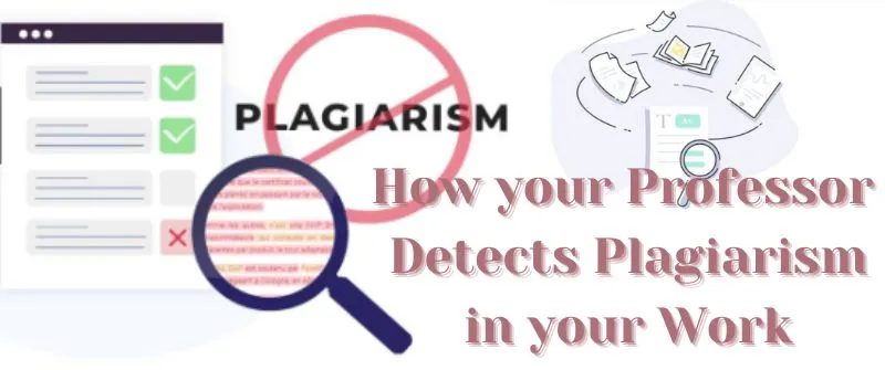 How your Professor Detects Plagiarism