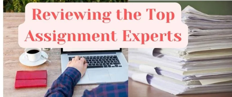 Top Assignment Experts Review
