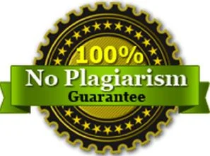 no plagiarism guarantee