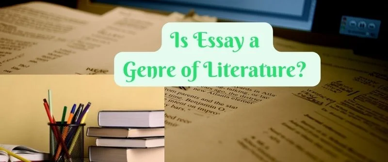 brief essay on the genres of literature