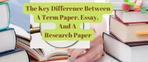 Is a term paper an essay