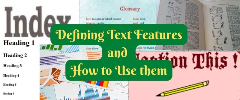 Defining Text Features