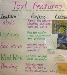 text features examples