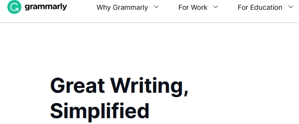 using grammarly