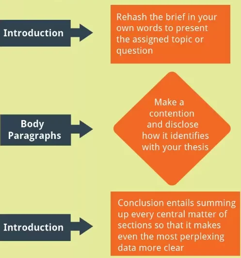 How to Write a Diagnostic Essay: Meaning and Topics Example