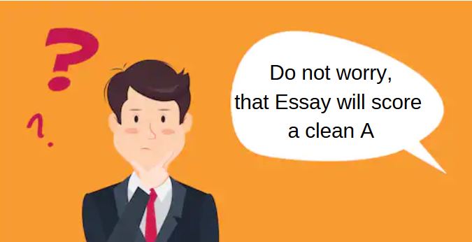 where can you buy essays online