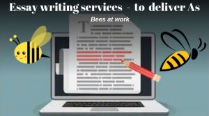 Essay Writing Services with all essays reliably written From Scratch