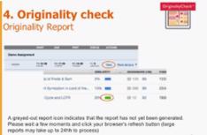 How to use Turnitin for free and get similarity report