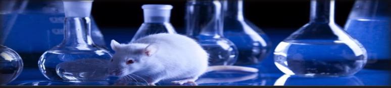 animal testing methods and topics for your essay