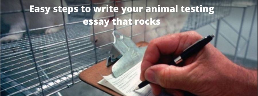 How to write Animal Testing Argumentative essay and Thesis Statement