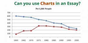 essay about graph