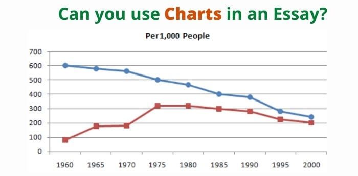 graph in an essay