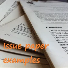 issue papers examples