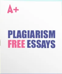 plagiarism free essays