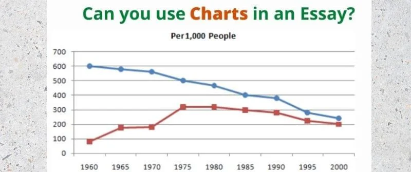 using charts in an essay