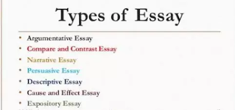 College Essays