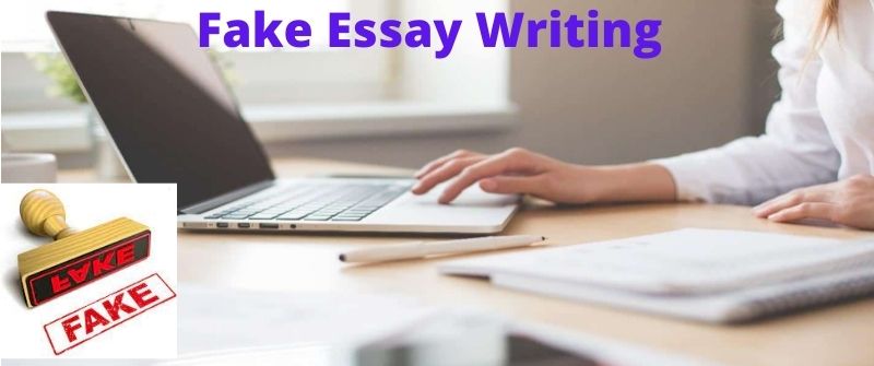 fake essay Writing