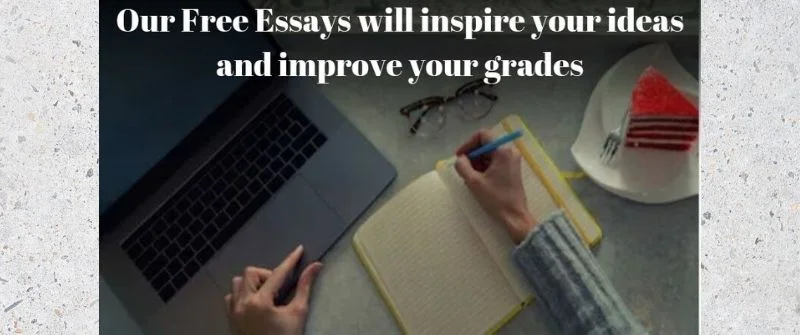 Free Essays and Samples for Beginners