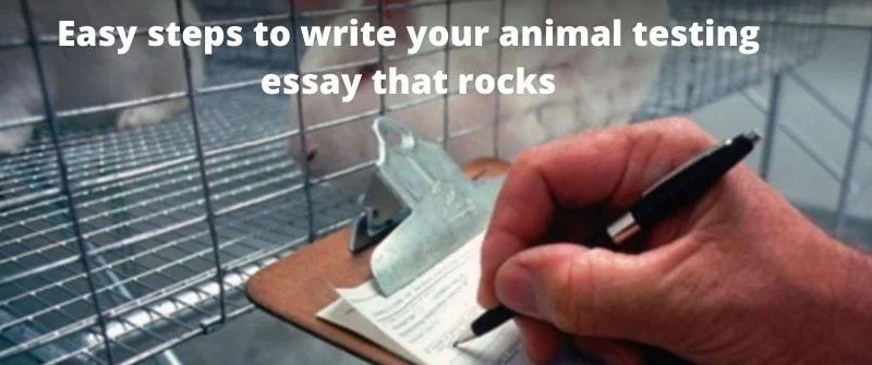 writing animal testing essay