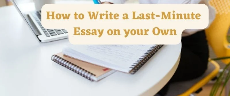 How to Write a Last-Minute Essay on your Own