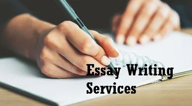 essay writing