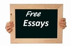 free essay
