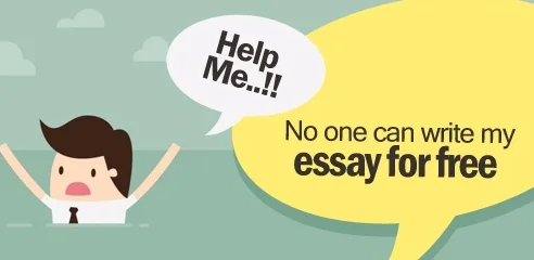 seeking essay help