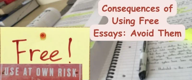 using free essay risks