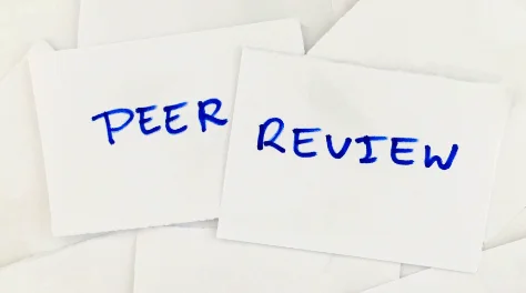 peer review essay website