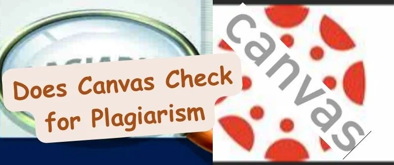 Canvas Check for Plagiarism