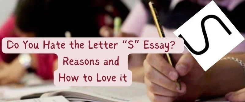 essay about hating the letter s