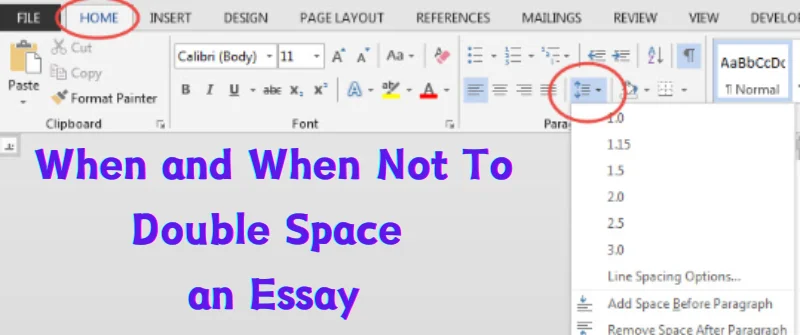 Double Space an Essay