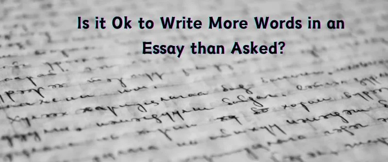 write more words in an essay